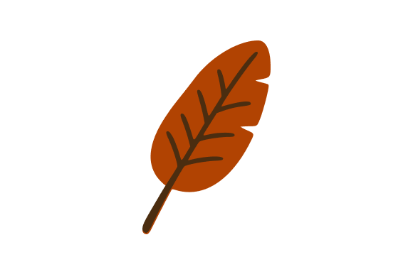 Feather Brown Sketch Clip Art Graphics